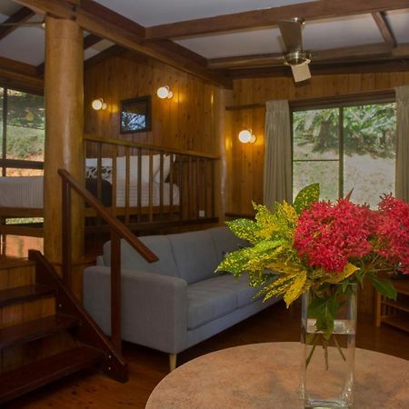 Milkwood Lodge Cooktown Zewnętrze zdjęcie