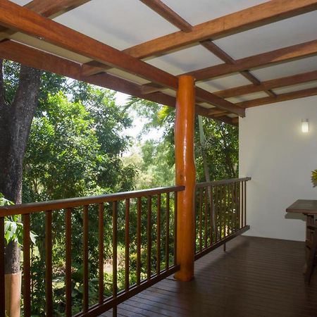 Milkwood Lodge Cooktown Zewnętrze zdjęcie