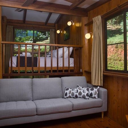 Milkwood Lodge Cooktown Zewnętrze zdjęcie